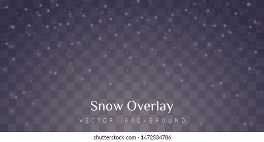 Snow and wind on a transparent background. Abstract blue bokeh background. Merry Christmas. Shining bokeh isolated on transparent background.