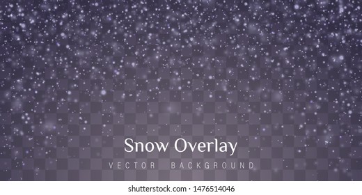 Snow and wind on a transparent background. Abstract blue bokeh. Merry Christmas. Shining bokeh isolated on transparent background.