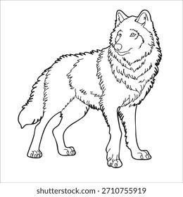 snow wolf vector illustrations in outline design styles