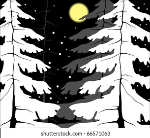 snow in the woods