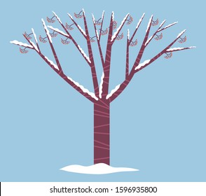 Snowball tree without foliage in forest. Red berries on branches, guelder rose or holly, traditional symbol of christmas. Isolated plant covered by snow on blue background. Vector illustration in flat