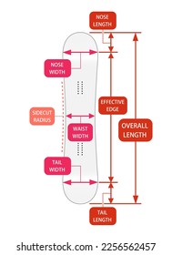 Snowboard size chart vector illustration