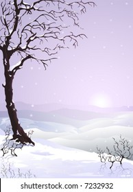 Snow-covered plum tree (autumn variant of this image and other landscapes are in my gallery)