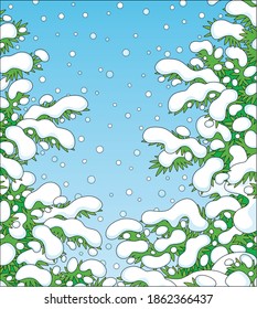 Snow-covered prickly green fir branches in a white winter forest on a snowy and frosty beautiful day, vector cartoon illustration