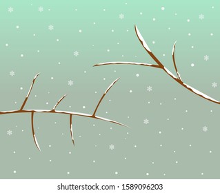 Snow-covered tree branches. Vector design.