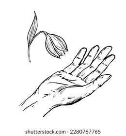Nieve sobre la mano, aislada en un fondo blanco. Ilustración vectorial. Esbozo de naturaleza delicada para su diseño.