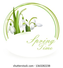 Snowdrop. Bouquet of snowdrops. Spring fragrance. Spring Flower.
Happy Mother's Day Template. Greeting card. Springtime. Vector illustration. 