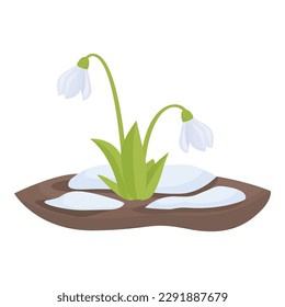 Snowdrop branch icon cartoon vector. Spring flower. Petal flora