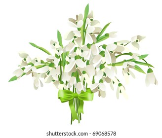 Snowdrop bunch with green bow isolated on white background