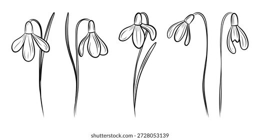 Snowdrop Doodles, Hand drawn Line Art Set for Designs. Snowdrop Sketches,Minimal Floral Outlines. Botanical Doodle