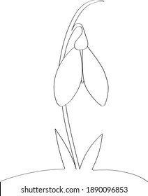 Snowdrop is drawn with a black outline with a thin line, a template for children's coloring in the style of doodle. The first spring flower that blooms from under the snow, beautiful drawing sketch.