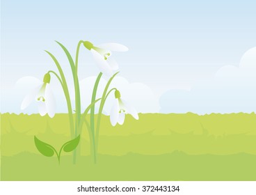 Snowdrop, the first flower of spring. Gentle spring background with snowdrop. Background with snowdrop. Illustration of snowdrops. Background with landscape. Background with flower