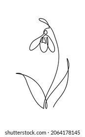 Snowdrop flower in continuous line art drawing style. Black linear sketch isolated on white background. Vector illustration