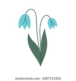 Snowdrop flower in doodle style. Snowdrop flower. Vector cartoon illustration isolated on white. Cartoon style. Vector Hand drawn illustration.