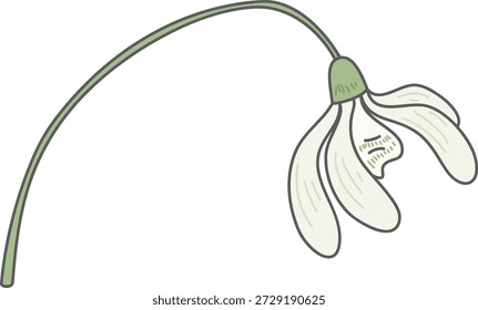 Flor de gota de neve com caule caído e três detalhes pétalas em linha de trabalho limpo. Símbolo de florescimento precoce, esperança, renovação e resiliência suave. Ilustração de vetor de desenhos animados.