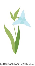 Snowdrop flower flat icon Bloom stem and leaves. Vector illustration
