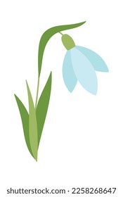 Snowdrop flower flat icon Bloom stem and leaves. Vector illustration