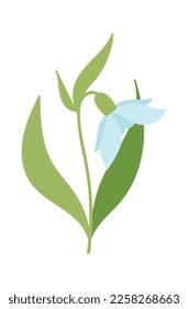 Snowdrop flower flat icon Bloom stem and leaves. Vector illustration