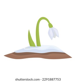Snowdrop flower icon cartoon vector. Snow spring. Art grass