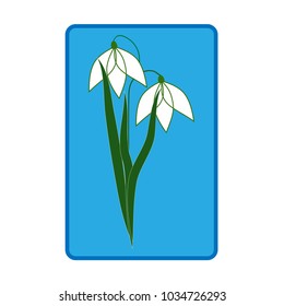 Snowdrop flower. Illustration flower in blue rectangle background. Cute delicate sign symbol spring. Colorful template for prints, textiles, wrapping, wallpaper. Design element. Vector illustration