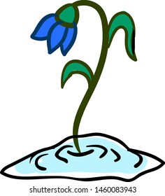 Snowdrop flower, illustration, vector on white background.