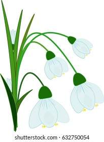 Snowdrop flower like in light blue tone.