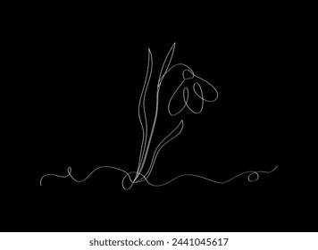 A snowdrop flower in a linear style. Vector design 