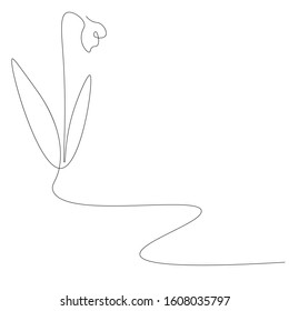 Snowdrop flower on white background, vector illustration