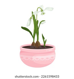Snowdrop in flower pot.Cartoon vector graphic.