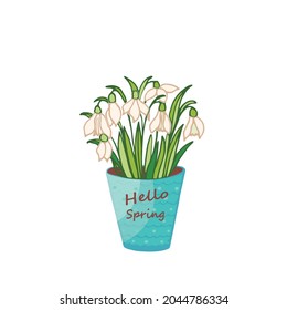 Snowdrop flowerpot isolated on white. Cartoon vector spring home vase flowers plants. Botanic weddding design.