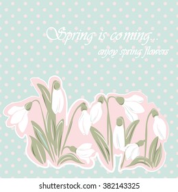 Snowdrop Flowers Blossom Spring Card Vector Stock Vector (Royalty Free ...