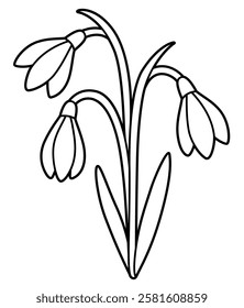 Snowdrop flowers bouquet, black and white line drawing. Simple cartoon outline for coloring, vector clip art illustration.