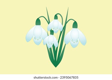 Snowdrop flowers. Bouquet isolated on a yellow background. vector illustration.