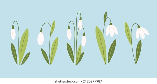 Snowdrop flowers collection. Spring flowers. Vector illustration in flat style