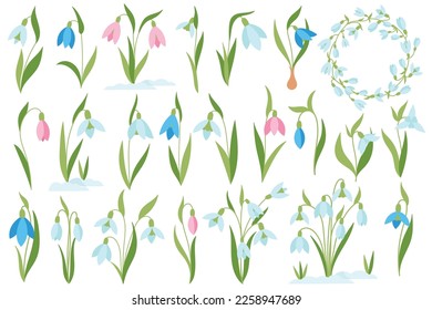 Snowdrop flowers flat icons set. Blossom of spring plant. Colorful season flowering of crocus. Flower parts. Bulb, leaves and stem. Color isolated illustrations