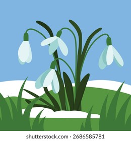 Flores de gota de nieve en la hierba. Ilustración vectorial en estilo plano.