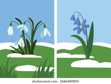 Snowdrop flowers on the grass, vector illustration in flat style.
