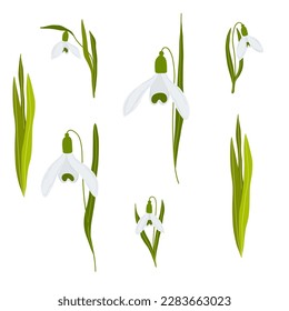 Flores de nieve ilustran la primavera.