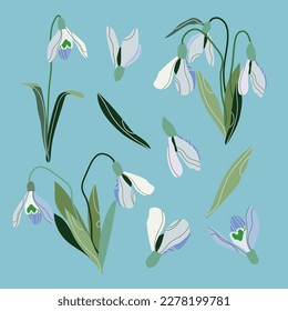 Flores de nieve puestas. Flor silvestre de primavera.  Planta de flores. Arte de flor de nieve. Dibujo vectorial de gotas de nieve. Nieve para la decoración y el diseño.