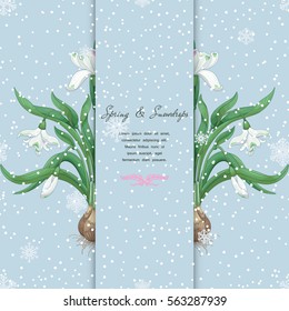 Snowdrop flowers. Snowfall on backdrop. Vector card. Insertion for your text. 