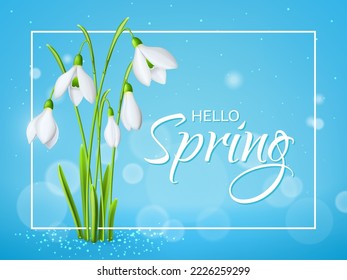 Snowdrop flowers spring background. March white flowers realistic vector cover or wallpaper, garden plant background. Mothers day spring holiday banner, backdrop with gentle snowdrops flowers