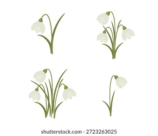 Snowdrop flowers, spring snowdrops botanical clipart floral elements vector set with isolated flowers and white blossoms