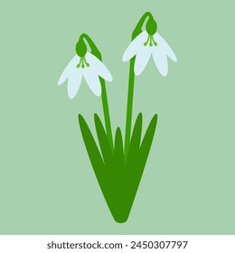 Snowdrop with green leaves isolated on a green background. Spring flower. Flat style. Colored icon, vector Illustration.