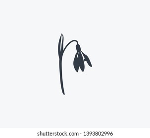 Snowdrop icon isolated on clean background. Snowdrop icon concept drawing icon in modern style. Vector illustration for your web mobile logo app UI design.