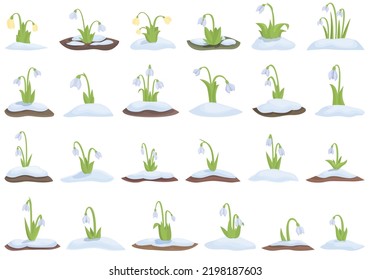 Snowdrop icons set cartoon vector. Nature flower. Spring leaf