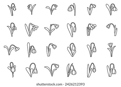 Snowdrop icons set outline vector. Flower spring nature. Leaf floral beauty