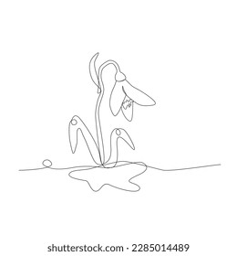 Snowdrop isolated in line art style outline.
