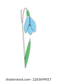 Snowdrop with leaves one line drawing.Continuous line drawing of flower.Hand drawn snowdrop.Single one line flower snowdrop.Flower outline sketch.