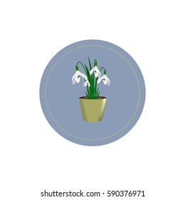 snowdrop logo