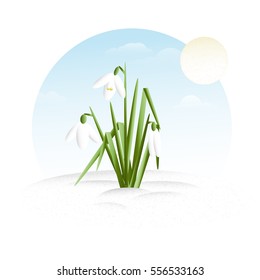 Snowdrop - minimalistic flat design vector illustration clipart